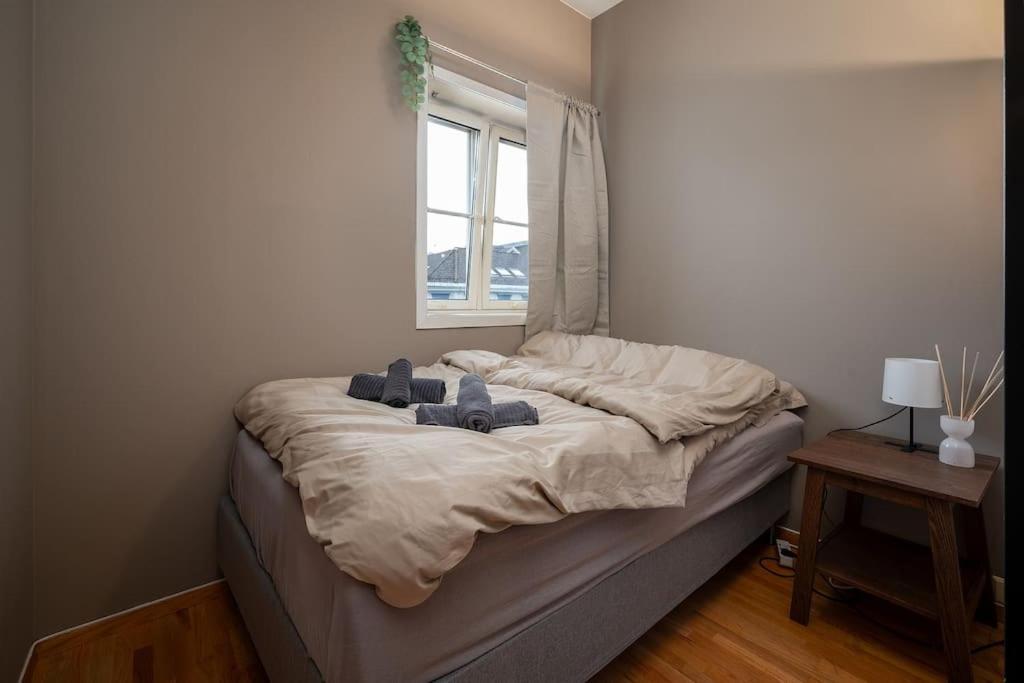 Studio Apt In City Centre Trondheim Exteriér fotografie